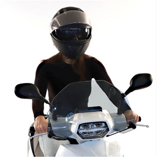 PARE BRISE COURT FUME